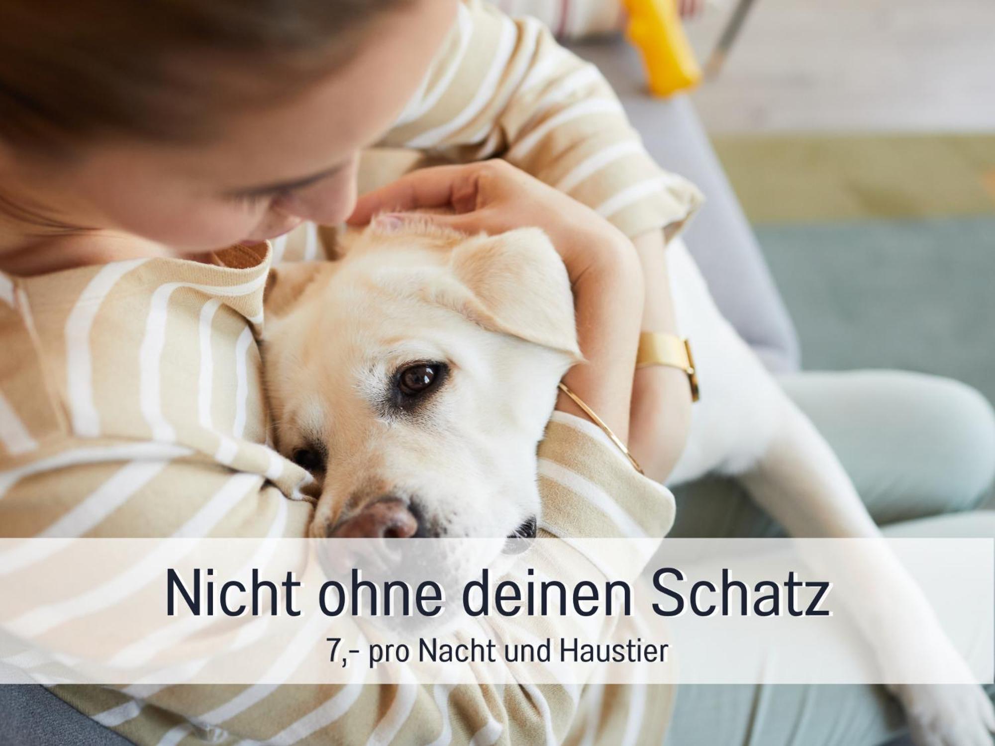 Ferienhaus Toepferhaus - Strandnah, Haustierfreundlich, Optimal Fuer Workation, Kaminofen, Garten, Fuer Paare Und Alleinreisende Steinberg  Luaran gambar