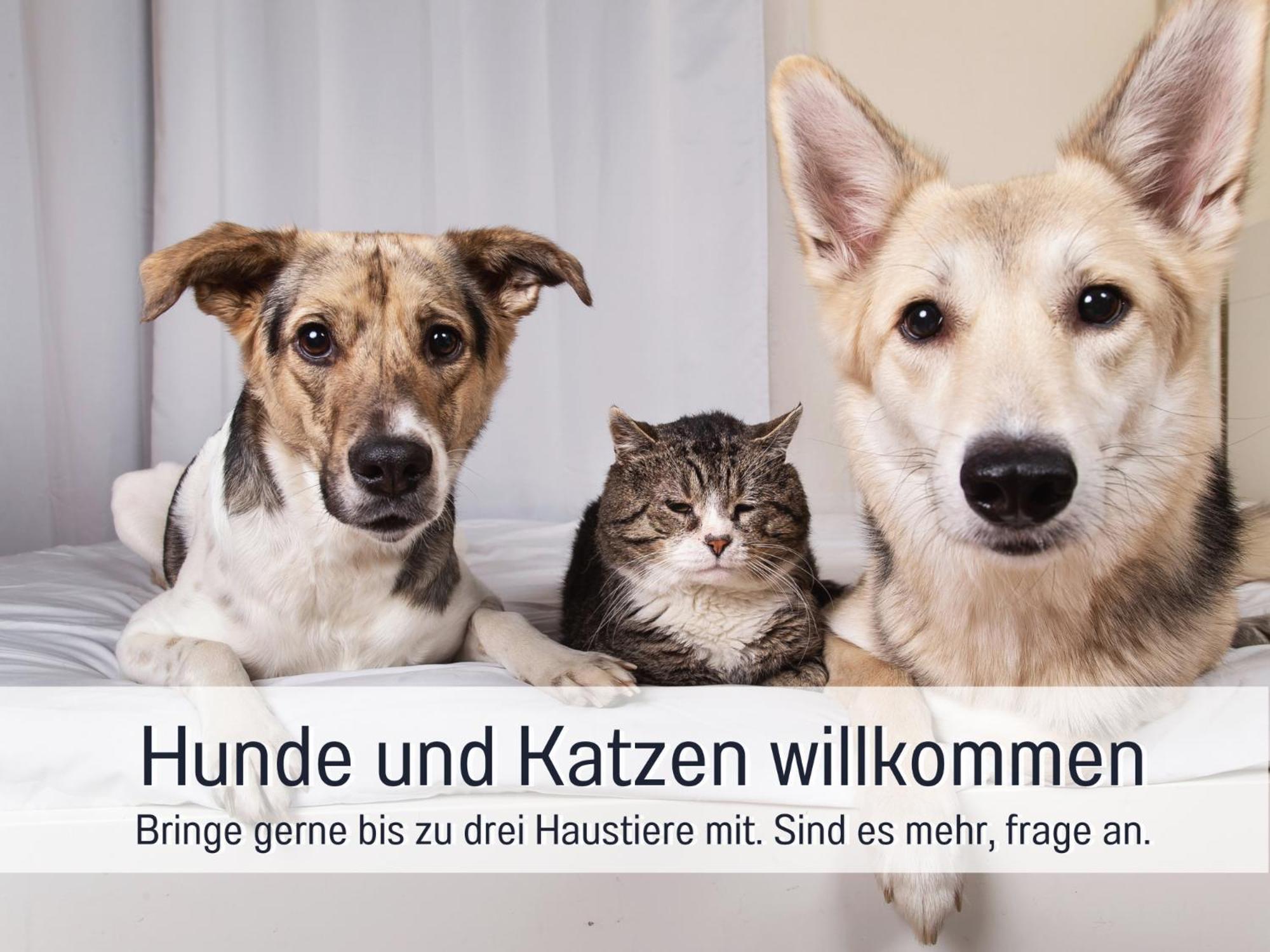 Ferienhaus Toepferhaus - Strandnah, Haustierfreundlich, Optimal Fuer Workation, Kaminofen, Garten, Fuer Paare Und Alleinreisende Steinberg  Luaran gambar